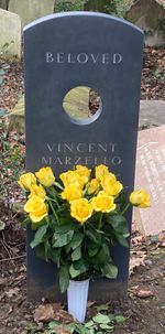 빈센트 마젤로의 묘, 하이게이트 묘지