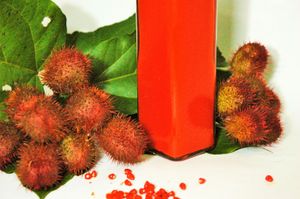 Bixa orellana의 기름