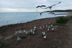 빅터 하버 해변