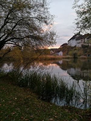 빌 호수의 일출