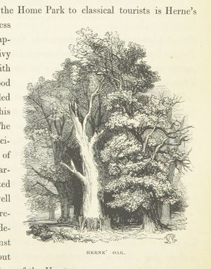 허른의 오크, 《템스강 서쪽의 그림 같은 여행》(1849) 삽화