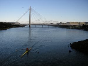 스컬러가 마린 호수에서 활동하고 있다.