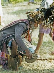 2000년 구스망의 사메 방문