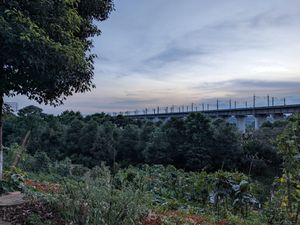 사오둥시의 고속철도 고가교