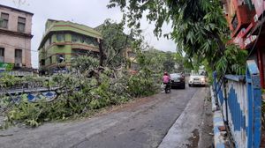 사이클론 엄펀으로 인한 콜카타의 피해