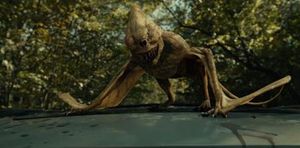 Vesp 생물, 반투명 피부와 동굴 생물과 유사한 특징을 가지고 있다