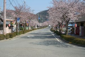 효고현도 227호선 (2009년)