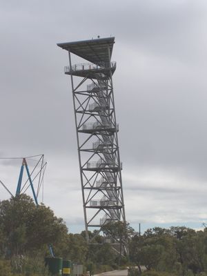 오스트레일리아 징인에 위치한 그래비티 디스커버리 센터의 기울어진 탑