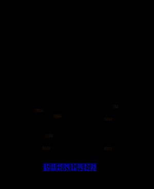 발견된 상경성의 모습