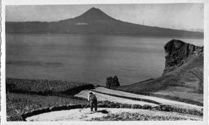 모후 지 벨라스(Morro de Velas)의 농지