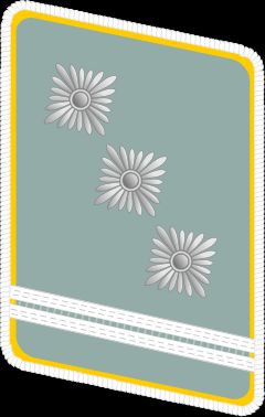 NSFK 상급돌격지도자 계급장