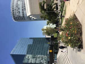 SFA 폴랑코 (2010년 개점, 2020년 폐점) 멕시코시티 플라자 카르소 2015