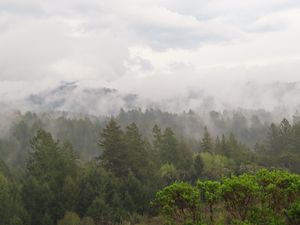 산타크루즈 산맥은 샌머테이오 군을 가로지르며, 매우 시골적이고 숲이 우거져 있다.