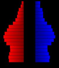 인구 연령 분포 (2000년 인구 조사)