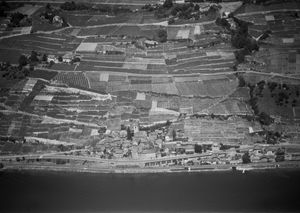 항공 사진 (1971년)