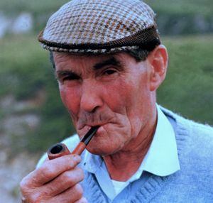 아일랜드 이야기꾼}} 메이요 주 출신