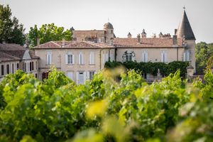 포도원에서 샤토를 향한 모습