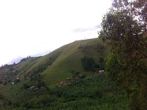 서부 우간다의 마을