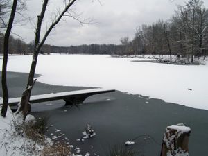 겨울의 캠퍼스 호수