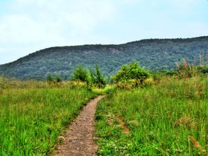 버논 타운십의 애팔래치아 산맥에서 바라본 와웨얀다 산의 모습.
