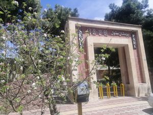 서울 공원, 거리 근처.