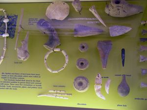 켄터키 주 메이즈빌에서 발견된 포트 에이션트 도구