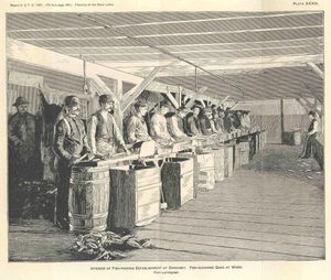 1887년 선더스키의 어류 가공 공장 내부