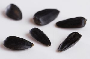 해바라기 씨앗, 우크라이나 여성이 러시아 군인에게 묘사