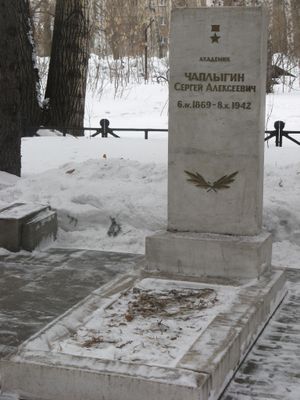 세르게이 차플리긴의 묘