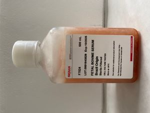 Fetal bovine serum