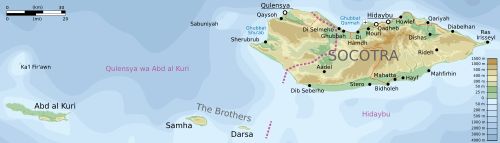 소코트라주의 구역도
