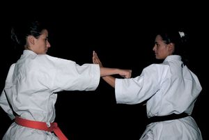 손날 받아치기(정권 찌르기를 손날로 받아친 모습)