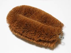 거북이 아이 타와시