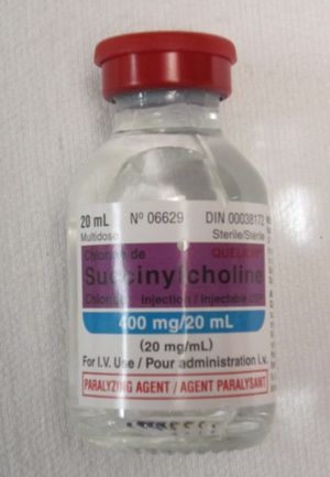 숙시닐콜린 주사제 바이알