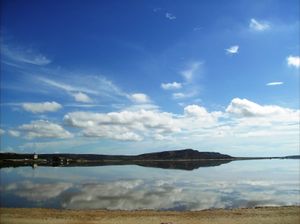 크루스 살메론 아코스타 시
