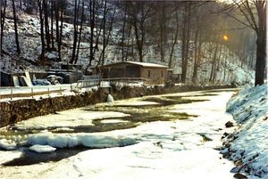슈바르첸베르크에서 가장 중요한 강인 슈바르츠바서