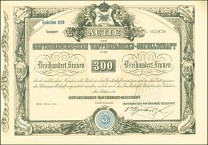 1920년 2월에 발행된 오스트리아 무기 제조 회사 주식