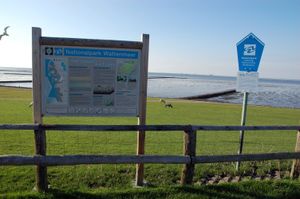 국립공원 관리청의 업무 중 일부는 대중에게 알리는 것입니다.