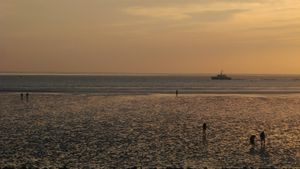 썰물 관광 투어 동안 방문객들은 국립공원을 발견할 수 있습니다.