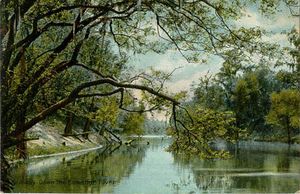 1907년 엽서 "머나먼 스와니 강"