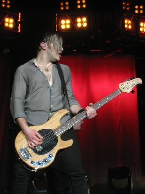 2010년 공연 중인 브래드 왈스트