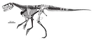 알려진 유해를 보여주는 골격 복원도