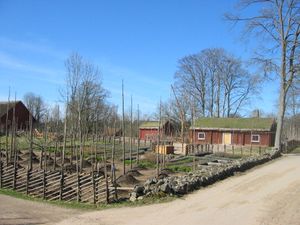 정원 앞, 배경에 집과 나무