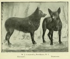 1897년경의 스키퍼키