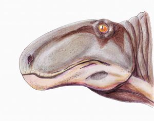 스테페사우루스