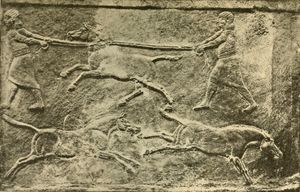 아시리아인들이 야생 당나귀를 길들이는 모습, 기원전 7세기