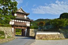 가네이시성 야구라몬에서 시미즈 산성을 바라보다