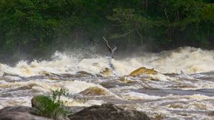 타파나호니 강 급류