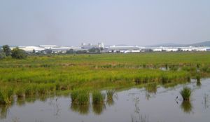 리엠 코뮌 근처 4번 국도에서 바라본 시아누크빌 경제특구(SSEZ)