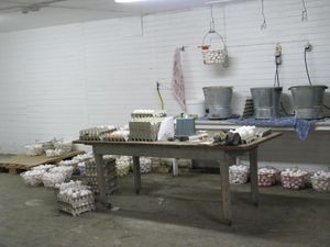 노르웨이 농장에서의 계란 세척